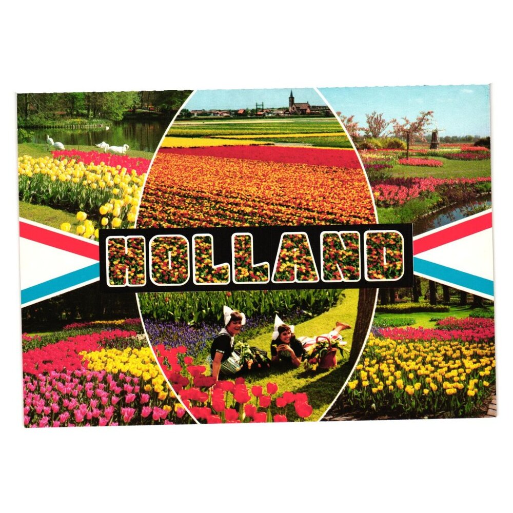 Holland Postcard Colorful Tulip Field Windmill Scenic Photography Vintage Unused